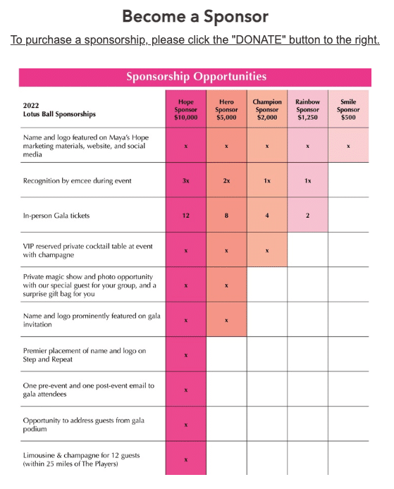 Screenshot of Maya's Hope's sponsorship matrix.